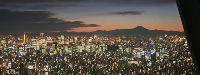 Konさんの壁紙画像