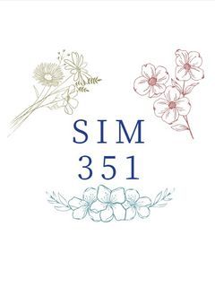 SIM351【配信部屋】