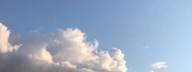 *茶々丸さんの壁紙画像