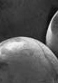 参加型設定やら宣伝やら置き場