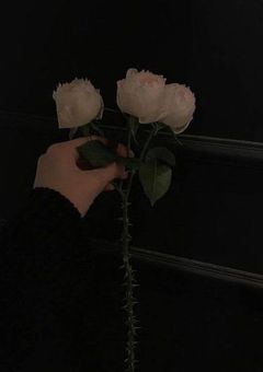 儚い思いと希望