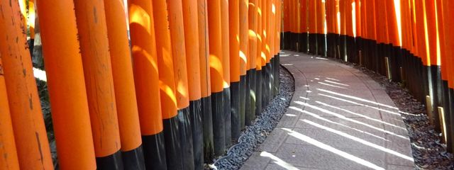 みお🌸🐱 🐾さんの壁紙画像