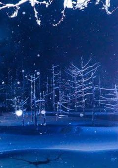 スノー・マジック