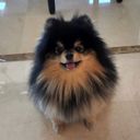 よんたん(たな)