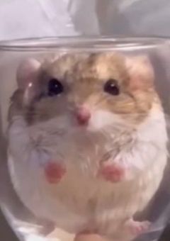 スキズイラスト💕