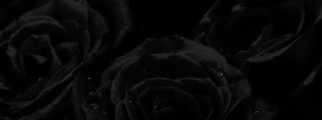 ❤︎❤︎❤︎さんの壁紙画像