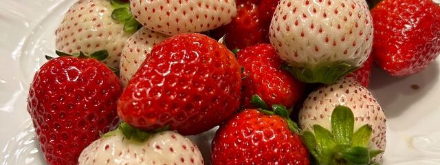 春風わかばさんの壁紙画像