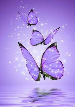 大男に溺愛される1匹の蝶💖🦋