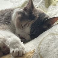 ☆錯乱☆さんのアイコン画像