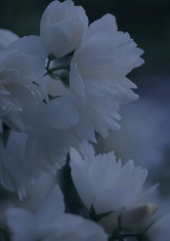 幸せに＿　ws.さんの短編集