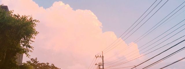 아마네　💐🕊️🌕さんの壁紙画像