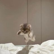 すずかさんのアイコン画像