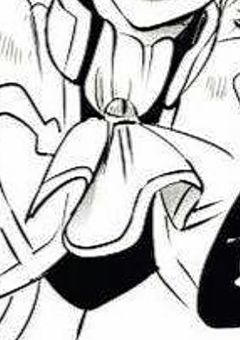 透 け る 程 美 し く