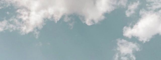 ぱくちーさんの壁紙画像