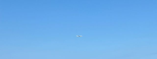 YM0806さんの壁紙画像