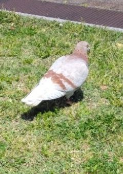 シン・雑談((怒られんぞ