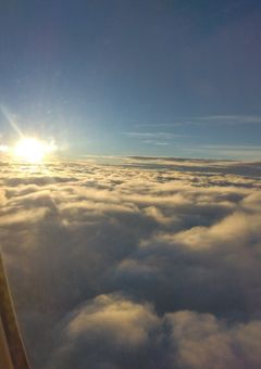 【活動について】