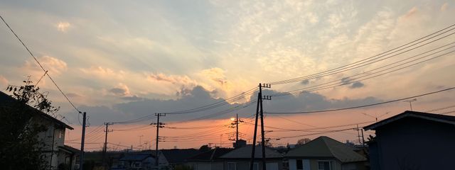 ぷぁさんの壁紙画像