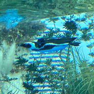 かたまりさんのアイコン画像