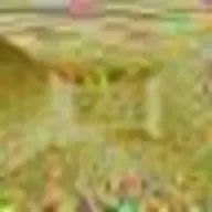 wtsywさんのアイコン画像