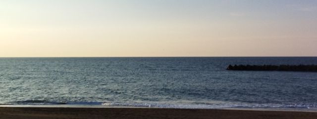 しぃ✰⋆｡:ﾟ･*☽         さんの壁紙画像