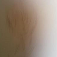 みち  (ง ˙˘˙ )วさんのアイコン画像