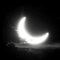 ใกใใซใ(๐ๅฐ)ใใใฎใขใคใณใณ็ปๅ