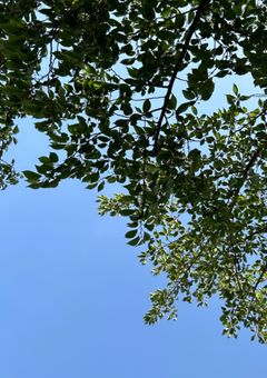 自己紹介てきなやつ