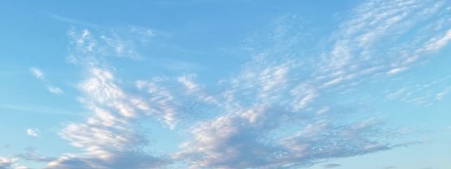 こさめ。さんの壁紙画像