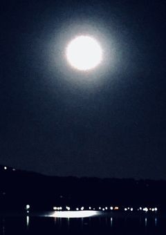 この手に抱く時