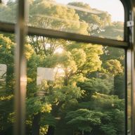 譚さんのアイコン画像