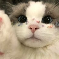 名無さんのアイコン画像