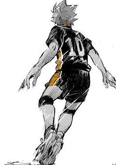 日向翔陽の彼女は凄かった!!