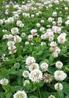 永遠なんてない。