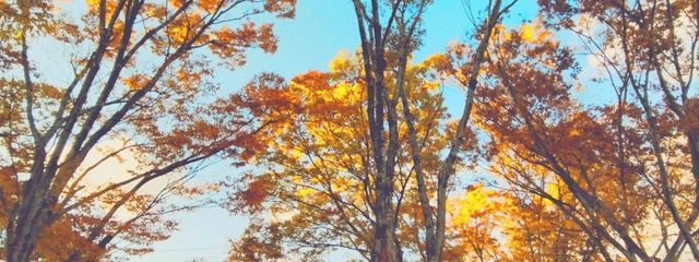 八剱.さんの壁紙画像