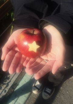 ぴよこの世界