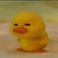 ぴよこ🐣‪さんのアイコン画像