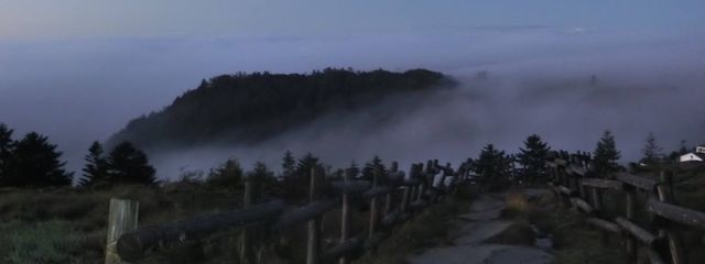 hosiさんの壁紙画像