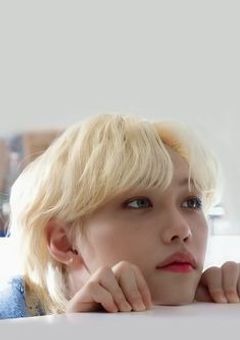 飼ってた猫が人間になりました