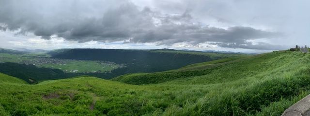 紫草 琥珀♤★さんの壁紙画像