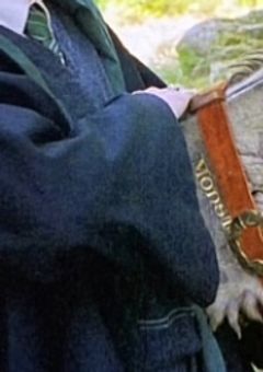 グリフィンドールでは無い彼に恋をした。