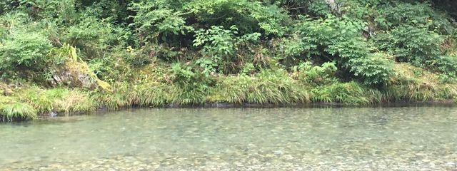 【R_】🍃🥜💭🐹🌕さんの壁紙画像