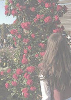 　純粋マンネの ウラの顔　