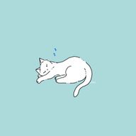 せーさんのアイコン画像