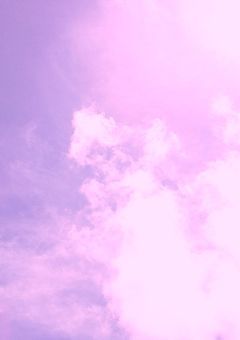 新しいお仲間です