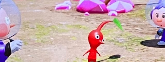 @国見推しさんの壁紙画像