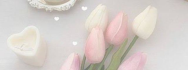 きなこさんの壁紙画像