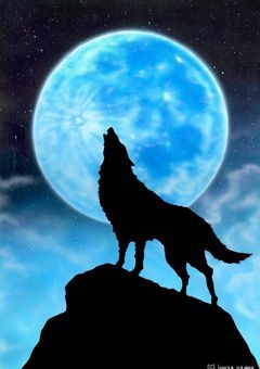 🐺狼男と🐑子羊の恋愛事情🔞