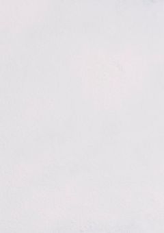 ホ ス ト と 警 備 部 隊 、あ る 古 参 に 甘 々 な よ う で【 fw & lrn 】