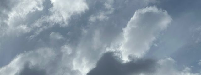 兎水~うさみ~さんの壁紙画像